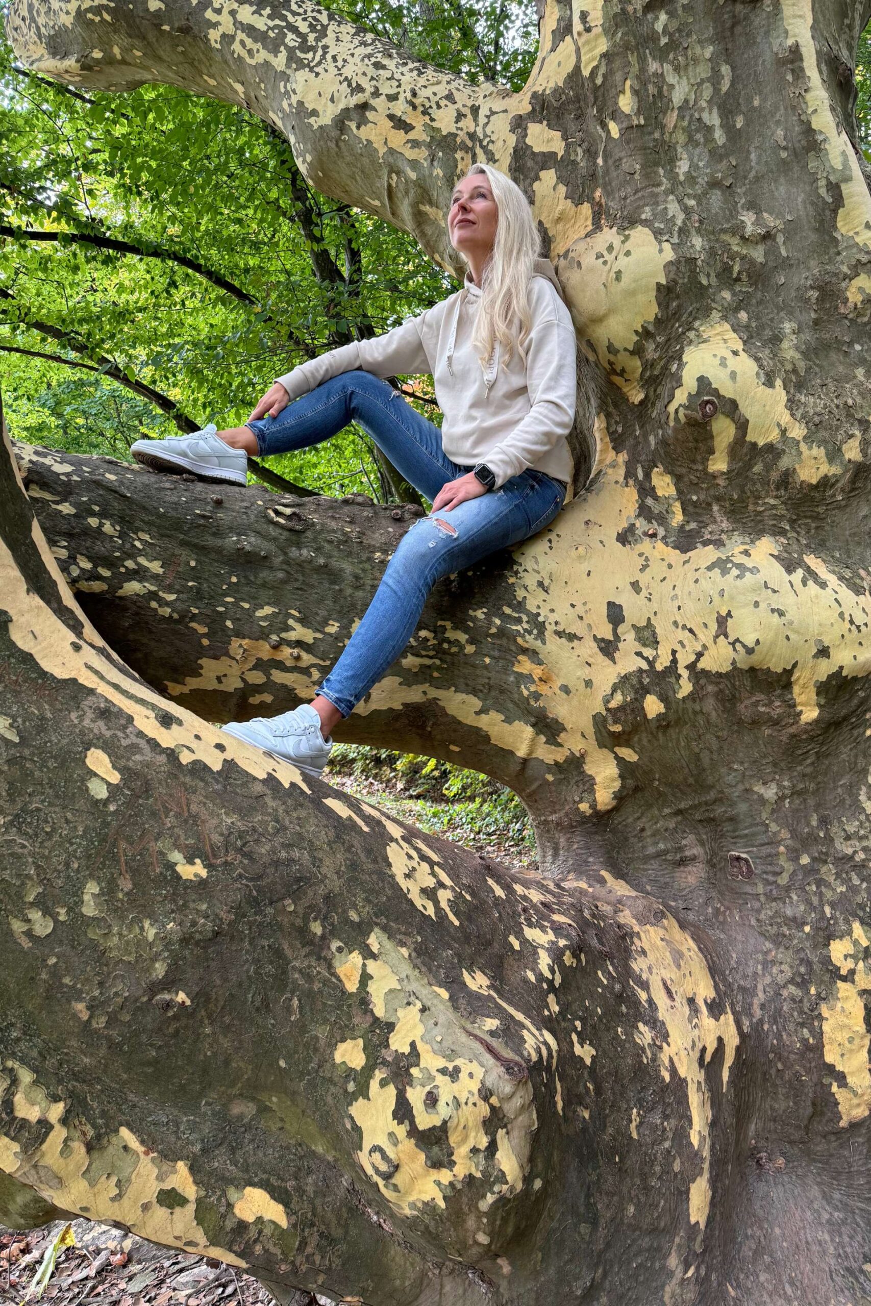 SPRING RETREAT 6 Ausbildung Geistheilung - Akademie Alexandra Schüler - Geistheiler